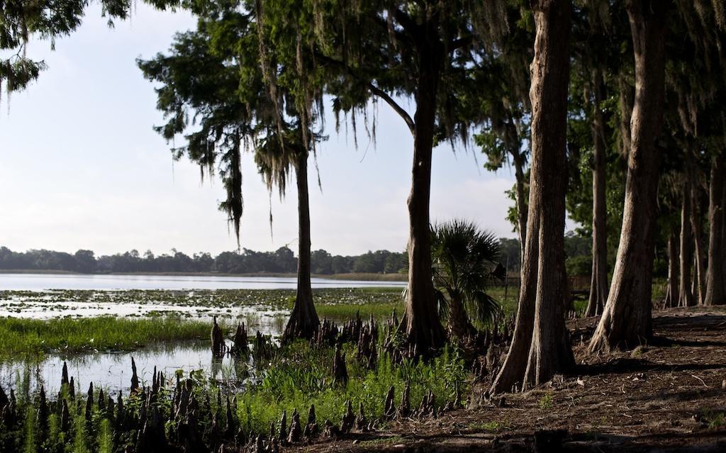 Star Island Resort And Club - Near Disney Kissimmee Eksteriør billede